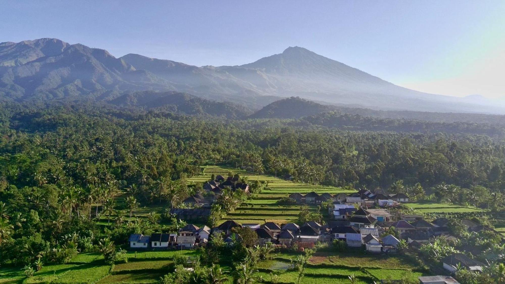 Raturinjani Homestay Selong Номер фото