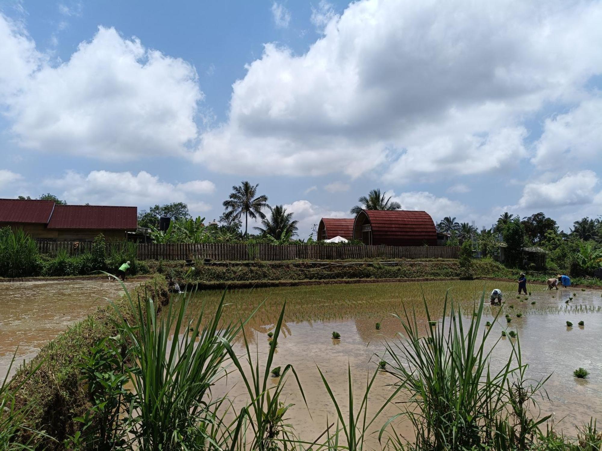 Raturinjani Homestay Selong Экстерьер фото